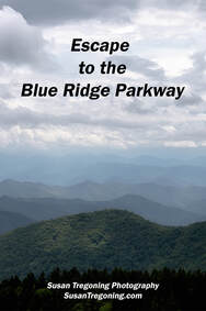 Escape to the Blue Ridge Parkway - SUSAN TREGONING PHOTOGRAPHY